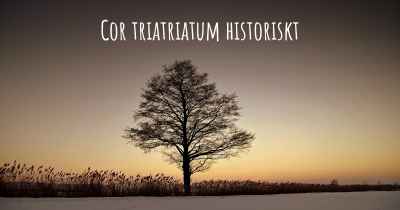 Cor triatriatum historiskt