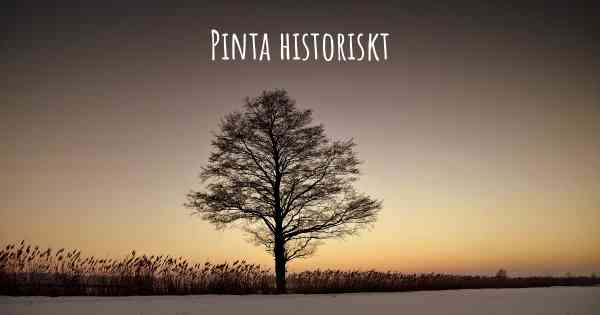 Pinta historiskt