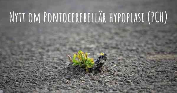 Nytt om Pontocerebellär hypoplasi (PCH)