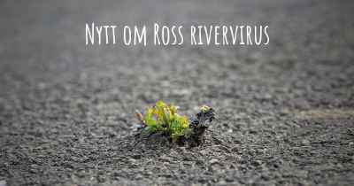 Nytt om Ross rivervirus