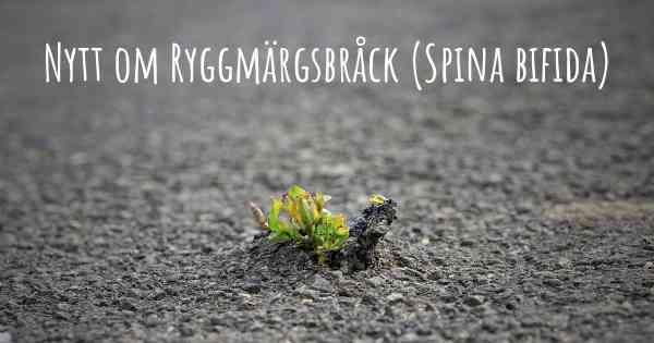 Nytt om Ryggmärgsbråck (Spina bifida)