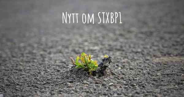 Nytt om STXBP1