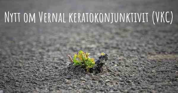 Nytt om Vernal keratokonjunktivit (VKC)