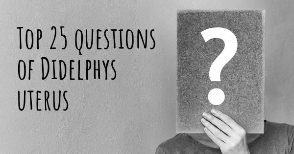 Didelphys uterus top 25 questions
