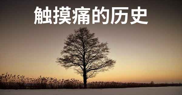 触摸痛的历史