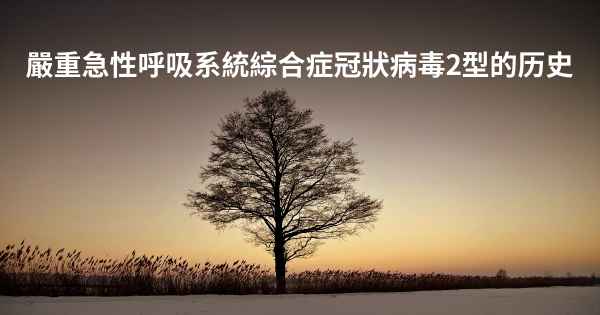 嚴重急性呼吸系統綜合症冠狀病毒2型的历史