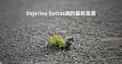 Dejerine Sottas病的最新发展