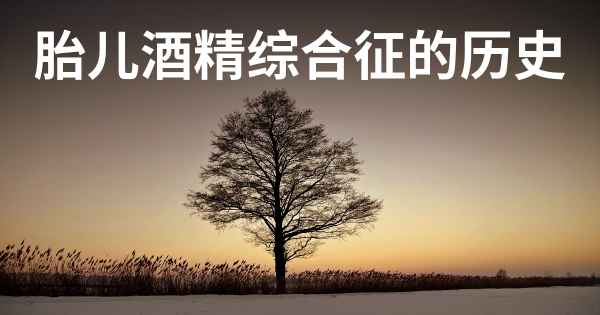 胎儿酒精综合征的历史