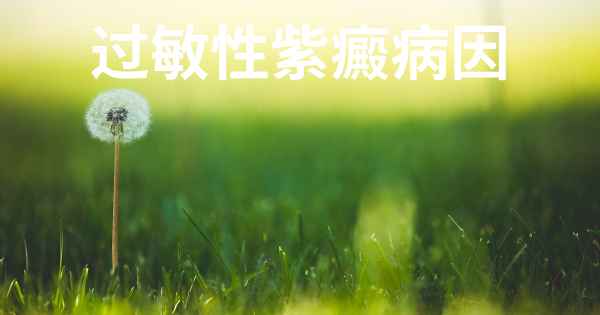 过敏性紫癜病因