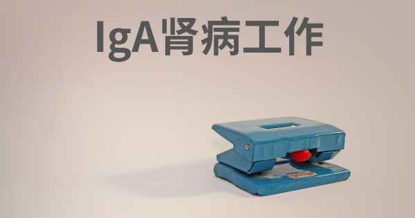 IgA肾病工作