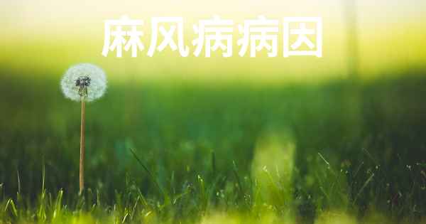 麻风病病因