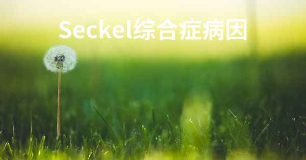 Seckel综合症病因