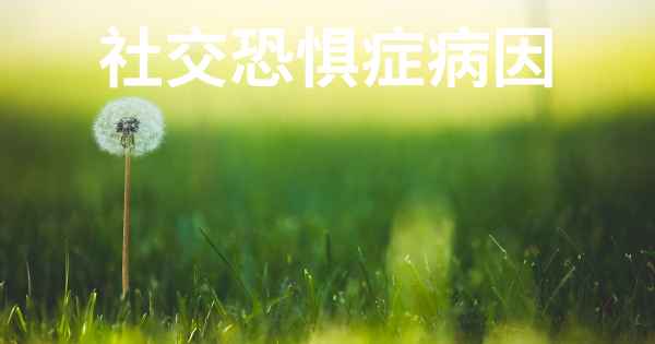 社交恐惧症病因