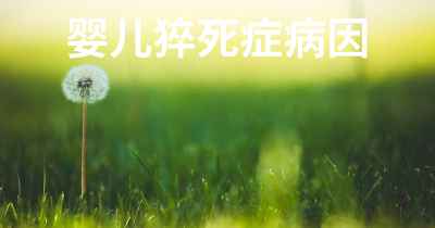 婴儿猝死症病因