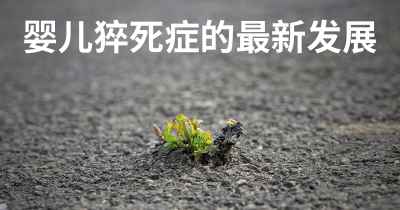 婴儿猝死症的最新发展