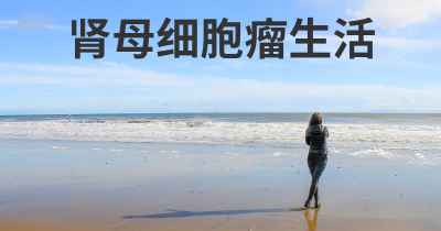 肾母细胞瘤生活