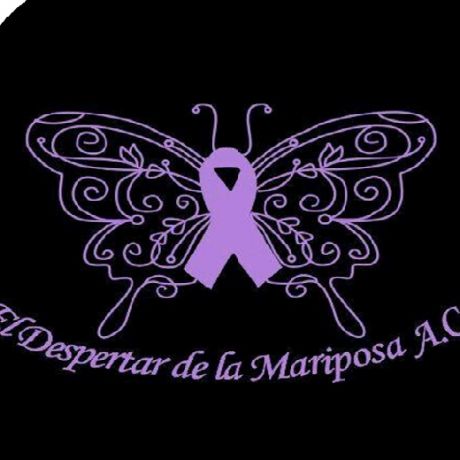 EL DESPERTAR DE LA MARIPOSA A.C.