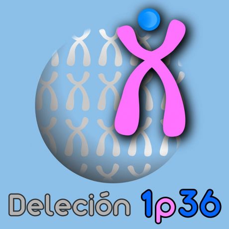 Asociación de Afectados de Deleción 1p36 - España